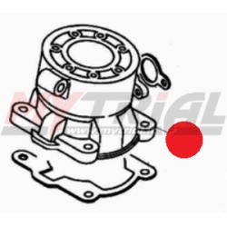 Cilindro D79 Beta Evo 300 2T (19-22)