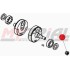 Dado Speciale M14 1,5 CH 19 BETA EVO 2T/4T