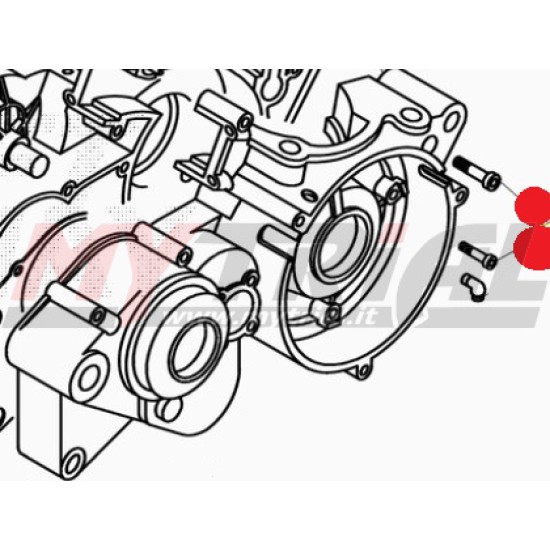 VITE BRUGOLA TCCE 6.50 Carter Motore BETA EVO/REV