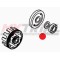 Cuscinetti 6206-C-2HRS-L100-C4 BETA 17-22