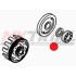 Cuscinetti 6206-C-2HRS-L100-C4 BETA 17-22