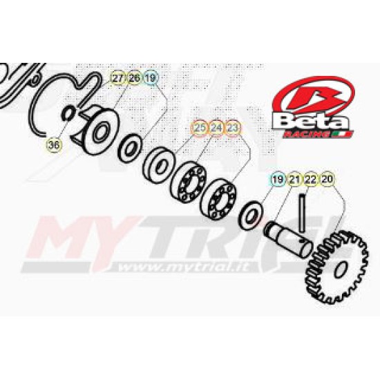 Kit Completo Pompa Acqua BETA REV/EVO dal 2005 al 2011