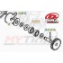 Kit Completo Pompa Acqua BETA EVO dal 2012 al 2025