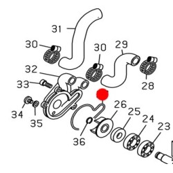 O-ring Pompa Acqua BETA Rev-Evo-techno 1994-2022 O-ring Pompa Acqua BETA Rev-Evo-techno 1994-2022