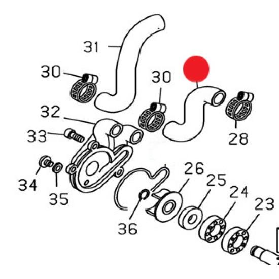 Tubo Radiatore-Pompa Acqua BETA REV-EVO 03-22
