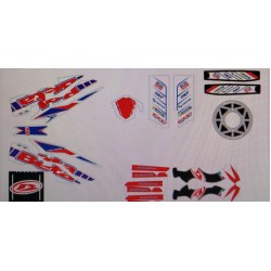 Kit Adesivi Telaio Beta Evo Factory 2015