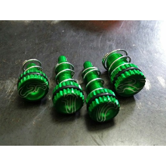 Kit Registri Leve COSTA SPECIAL PARTS (AJP-BRAKTEC) VERDE