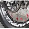 Tiraraggi COSTA SPECIAL PARTS (Rosso)
