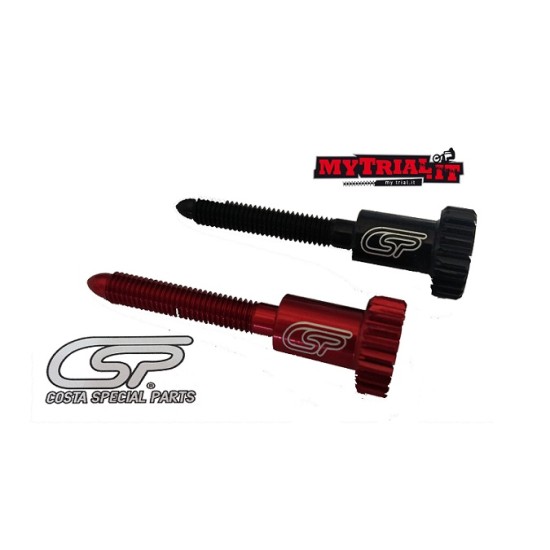 Vite Minimo Keihin X BETA COSTA SPECIAL PARTS 