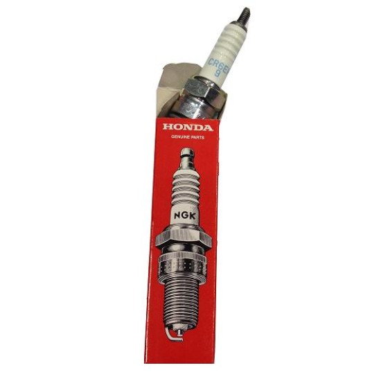 Candela MONTESA 4RT NGK HONDA CR6EH-9
