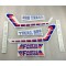 Kit Adesivi Completo FANTIC 200