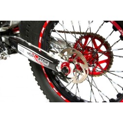 Disco Freno Posteriore RACE Beta Evo 