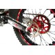 Disco Freno Posteriore RACE Beta Evo 