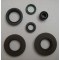 KIT PARAOLI FANTIC MOTOR (CLUBMAN, TRIAL 50/80 mot. FANTIC, SECTION, K-R00 50/80)