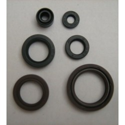 KIT PARAOLI FANTIC MOTOR (SECTION, K-R00 125/250)