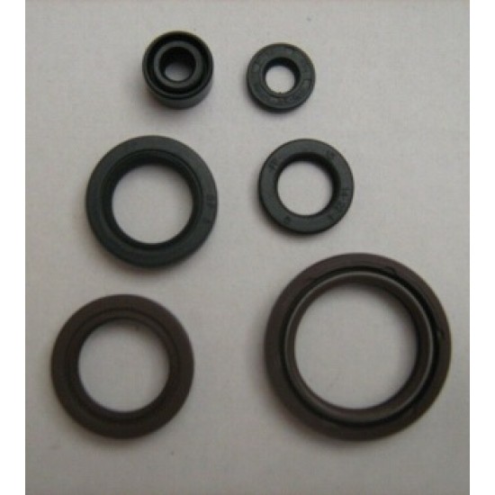 KIT PARAOLI FANTIC MOTOR (SECTION, K-R00 125/250)