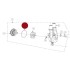 Oring interno Pompa Acqua GAS GAS 15-17