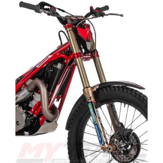 Adesivi Telaio GAS GAS GP 2020