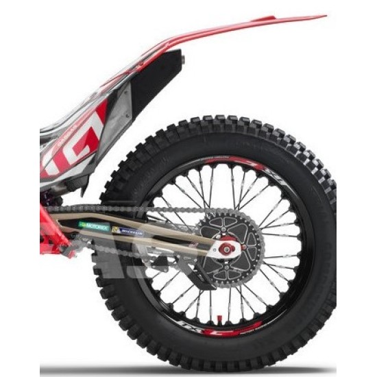 Adesivi Forcellone GAS GAS GP 2022
