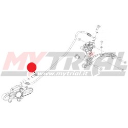 Raccordo Tubo Freno Posteriore GAS GAS