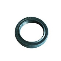 Paraolio Messa in Moto GAS GAS 