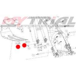 Vite Conica Piastra GAS GAS 11-22