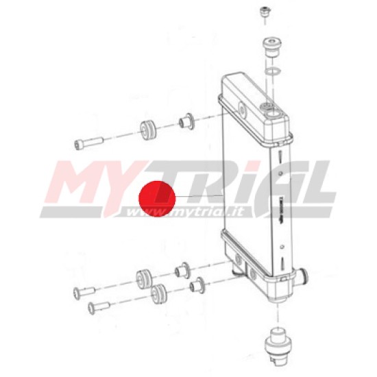 Radiatore GAS GAS 2015/2022