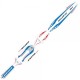Kit Adesivi Completo MONTESA 4RT 260 20/21 by JITSIE