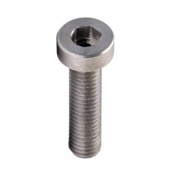 Vite Forata Campana Frizione M5X20
