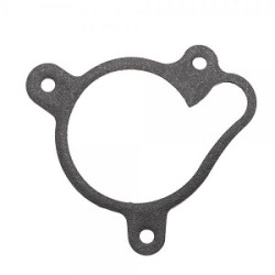 Guarnizione Pompa Acqua TRS RS One/RR/Gold 16-18, One 19-20