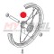 Raggio Lungo Ruota Posteriore MONTESA 4RT (Lato Disco)(Originale)