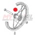 Raggio Lungo Ruota Posteriore MONTESA 4RT (Lato Disco)(Originale)