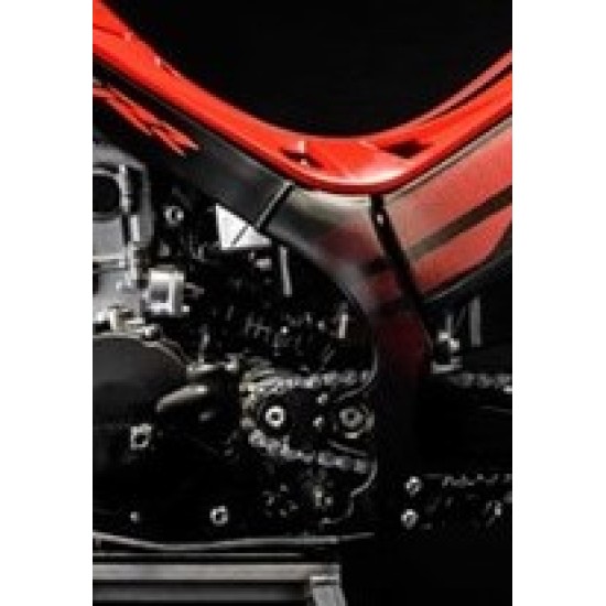 Adesivo Telaio Sinistro MONTESA RR 300 2017
