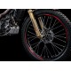 Adesivo Forcella Destra MONTESA RR300 2017