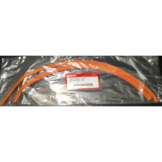 Adesivi Cerchio MONTESA REPSOL