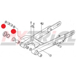 OR Forcellone MONTESA 4RT