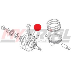 Albero Motore MONTESA 4RT