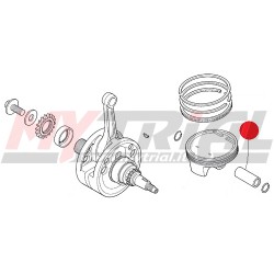 Spinotto Pistone MONTESA 4RT