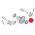 Cuscinetto Albero a Camme MONTESA 4RT