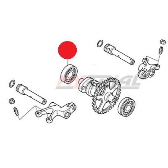 Cuscinetto Albero a Camme MONTESA 4RT