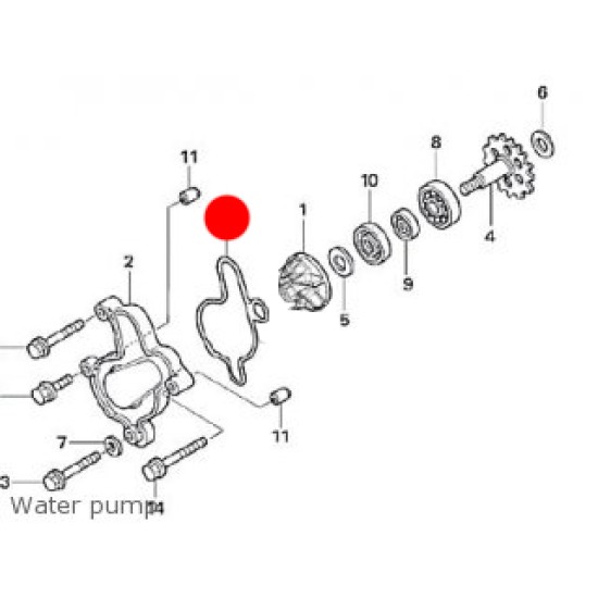 Oring Pompa dell'Acqua MONTESA 4RT