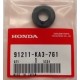 Paraolio Pompa dell'Acqua MONTESA 4RT/315