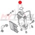 Radiatore MONTESA 4RT
