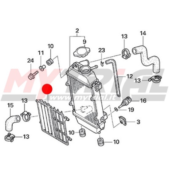 Griglia Radiatore MONTESA 4RT