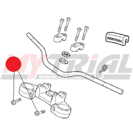 Vite Piastra Forcella Superiore MONTESA 4RT 8X28