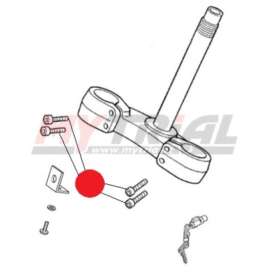 Vite Piastra Forcella Inferiore MONTESA 4RT 8X25 