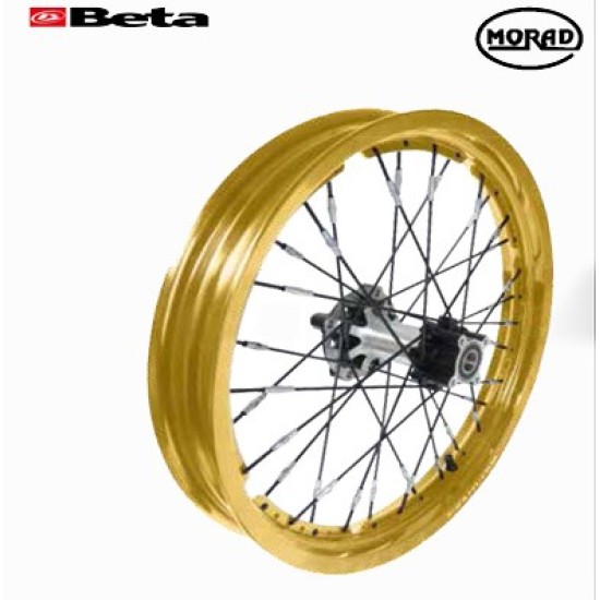 Cerchio Posteriore BETA EVO FACTORY 19 