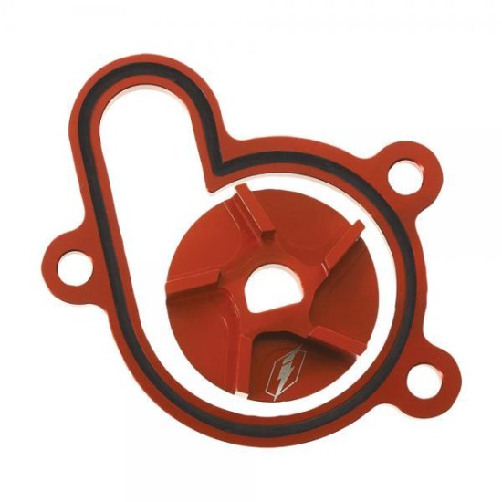 Kit Pompa Acqua BETA EVO 2T 09-24