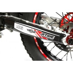 Protezione Forcellone Beta Evo