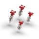 Kit Registri Leve S3 (AJP-BRAKTEC) Rosso